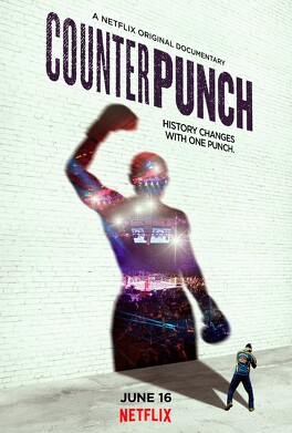 Affiche du film CounterPunch