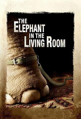 Affiche du film The Elephant in the Living Room