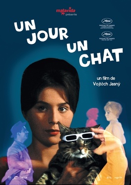 Affiche du film Un jour un chat