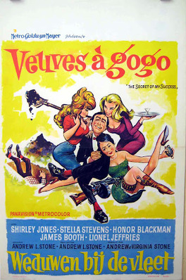 Affiche du film Veuves à Gogo