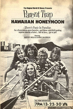 Affiche du film Lune de miel à Hawaï