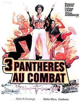Affiche du film 3 Panthères au Combat