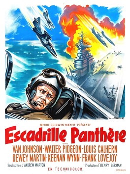 Affiche du film Escadrille Panthère