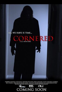 Affiche du film Cornered