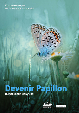 Affiche du film Devenir papillon