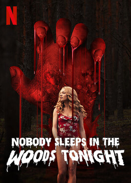 Affiche du film Nobody sleeps in the woods tonight