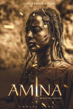 Couverture de Amina