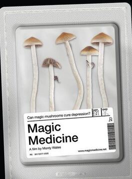 Affiche du film Magic Medicine