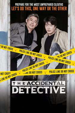 Couverture de The Accidental Detective