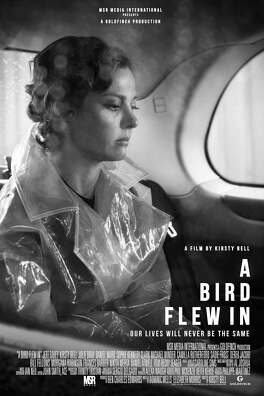 Affiche du film A Bird Flew In