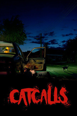 Affiche du film Catcalls