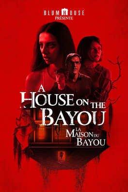 Affiche du film Une Maison dans le Bayou