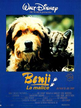 Affiche du film Benji La Malice