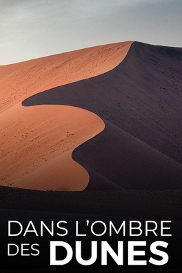 Affiche du film Dans l'ombre des dunes