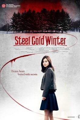 Affiche du film Steel Cold Winter