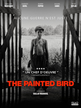 Affiche du film The Painted Bird