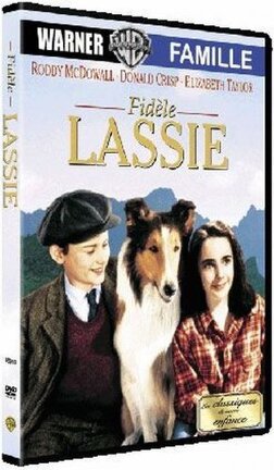 Affiche du film Fidèle Lassie
