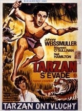 Affiche du film Tarzan s'évade