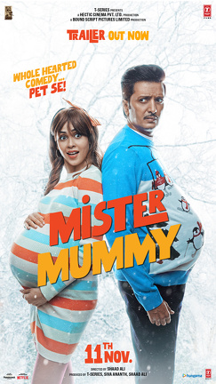 Affiche du film Mister Mummy