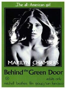 Affiche du film Derrière la porte verte