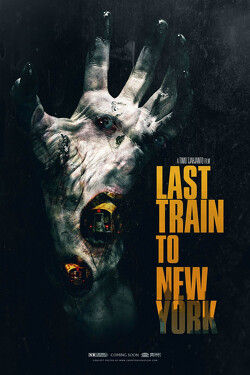 Couverture de The Last Train to New York