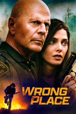 Affiche du film Wrong Place