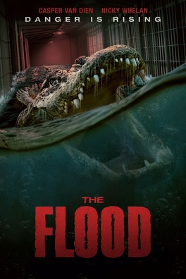 Affiche du film The Flood