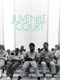 Couverture de Juvenile Court