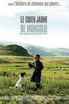 couverture Le Chien Jaune de Mongolie