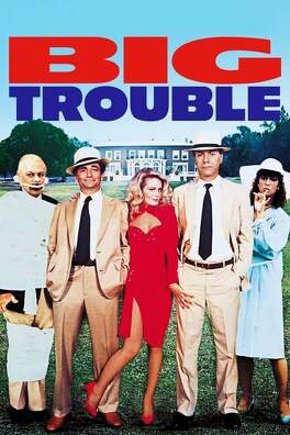 Affiche du film Big Trouble
