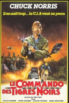 Affiche du film Le Commando Des Tigres Noirs