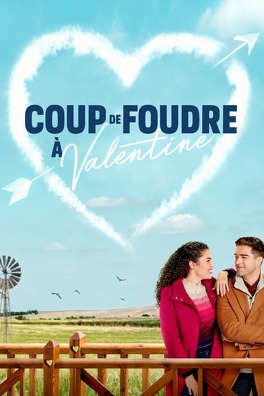 Affiche du film Coup de foudre à Valentine