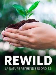 Affiche du film Rewild, la nature reprend ses droits