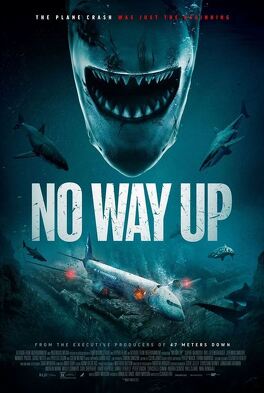 Affiche du film No Way Up