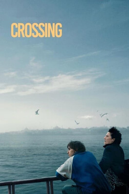 Affiche du film Crossing Istanbul