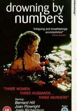 Couverture de Drowning by Numbers