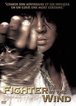 Affiche du film Fighter in the Wind