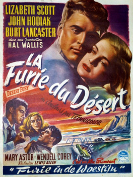 Affiche du film La Furie du désert