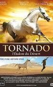TORNADO, l'étalon du désert