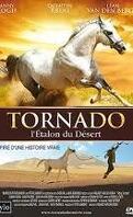 TORNADO, l'étalon du désert