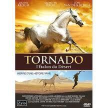 Affiche du film TORNADO, l'étalon du désert