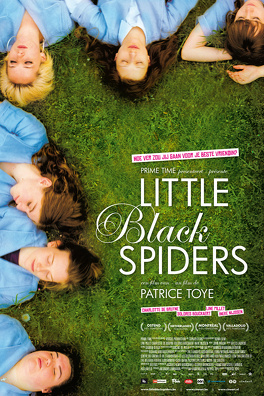Affiche du film Little Black Spiders