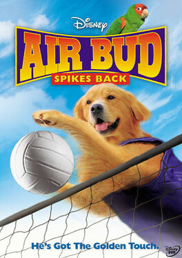 Affiche du film Airbud 5 : superstar