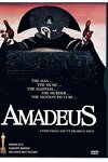 couverture Amadeus