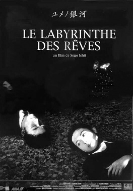 Affiche du film Le labyrinthe des rêves