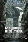 couverture Synecdoche, New York