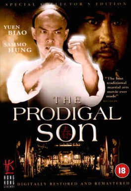 Affiche du film Prodigal Son