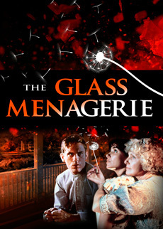 Affiche du film La Ménagerie de verre
