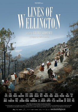 Affiche du film Les lignes de Wellington
