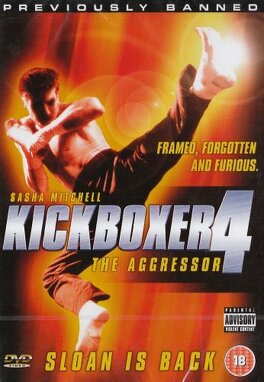 Affiche du film Kickboxer 4: L'Agresseur